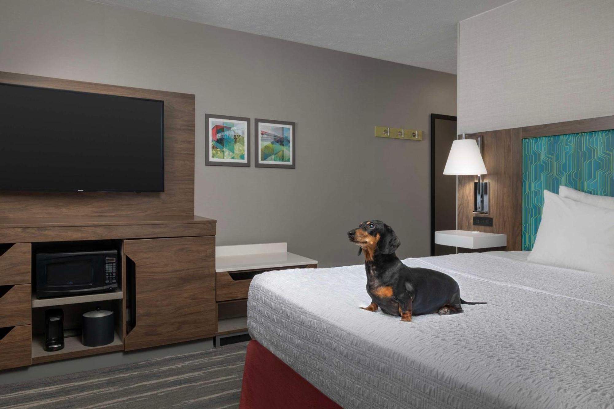 Hampton Inn Вотерлоо Екстер'єр фото